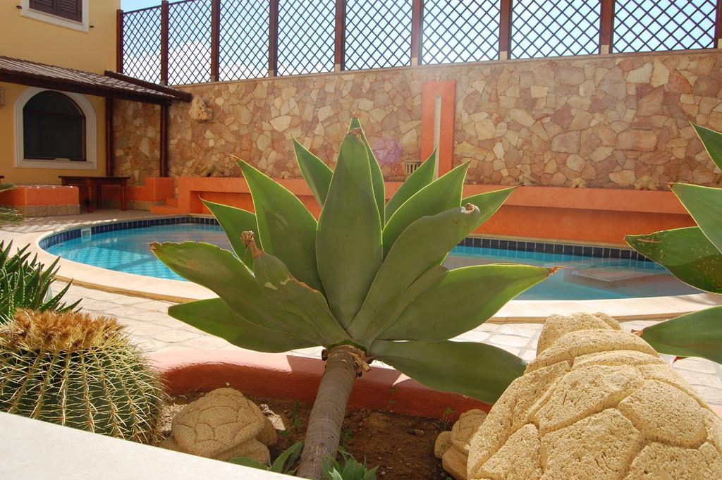 El Mosaico Del Sol *